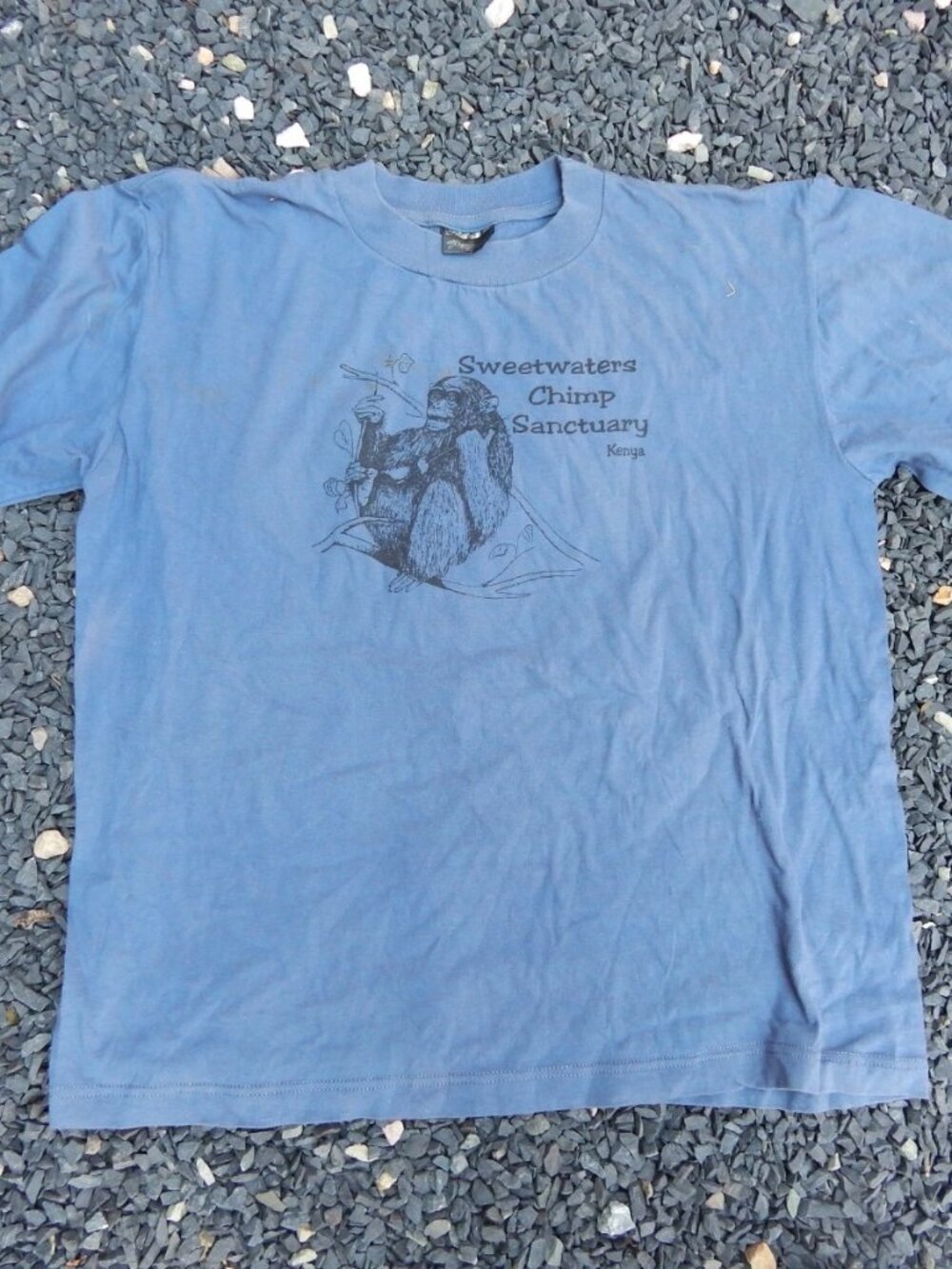 Vintage Sweetwaters Chimp Sanctuary Kenya Souvenir T Shirt Large MADE IN U